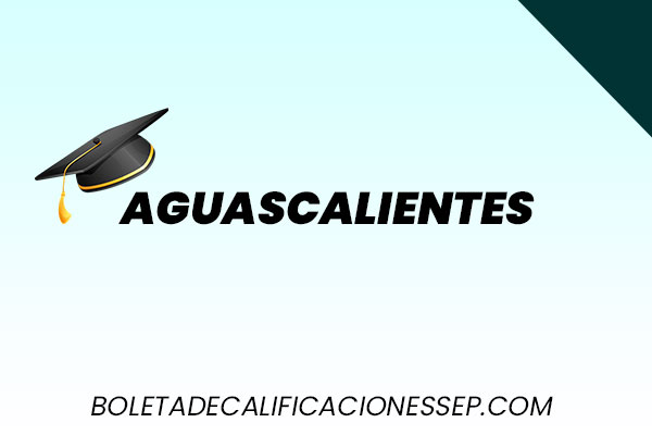 Boleta de calificaciones sep en Aguascalientes