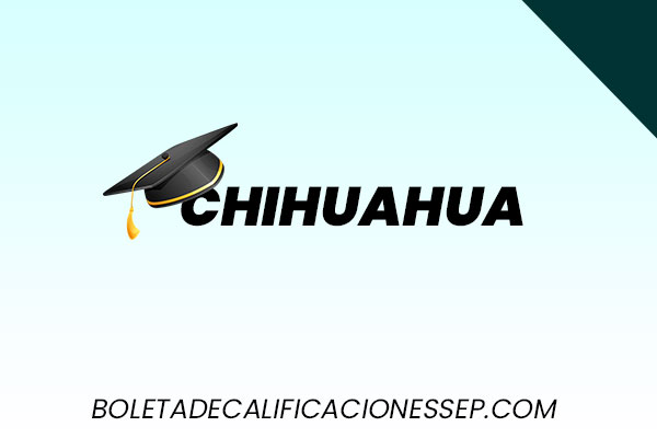 boleta de calificaciones sep en chihuahua