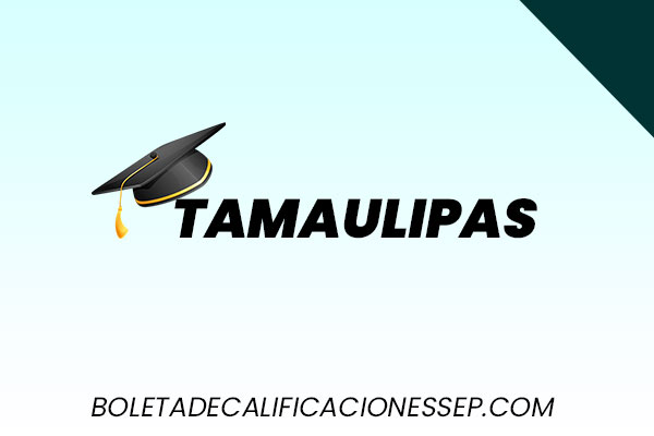 boleta de calificaciones sep en tamaulipas